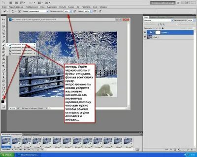 Как скопировать выделенную область в фотошопе