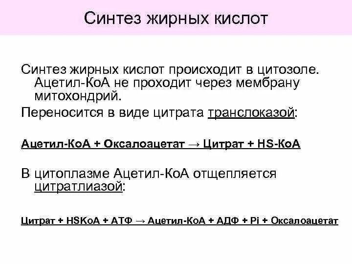 Синтез жирных кислот происходит в. Синтез жирных кислот из ацетил КОА. Синтез жирных. Регуляция синтеза жирных кислот. Источник 3 жирных кислот ответ на тест