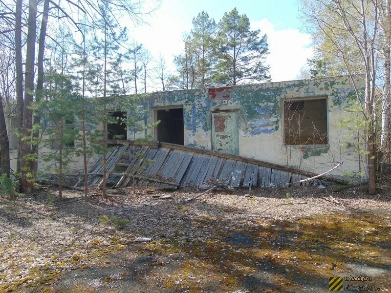 Пионерский лагерь незабудка новосибирская область. Пионерский лагерь пионер новосибирск. Заброшенный пионер лагерь незабудка. Лагерь имени сергея тюленина новосибирск. Пионерлагерь незабудка новосибирск.