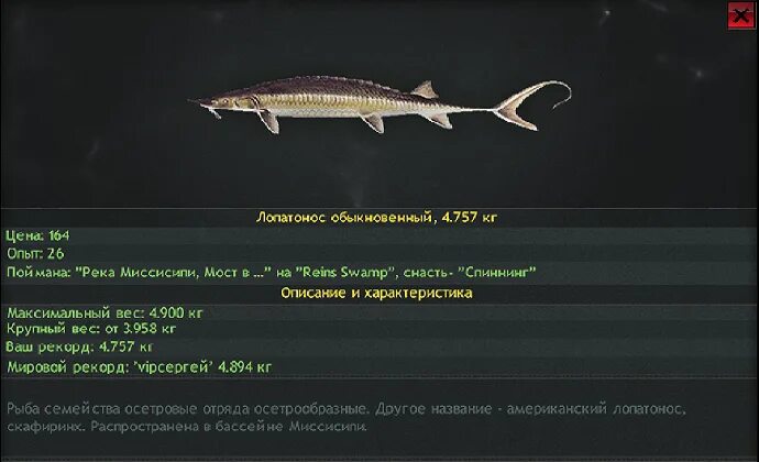 Лопатонос на что ловить Сквозь джунгли