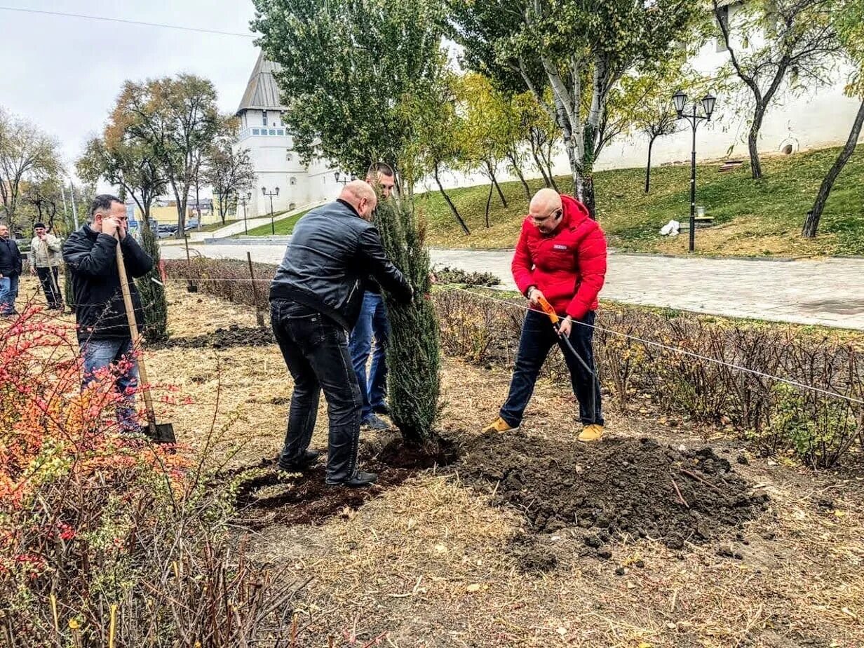 Новая аллея владимира. Заложили аллею. Парк победы севастополь аллея. Аллея мастеров иваново. Заложили аллею.