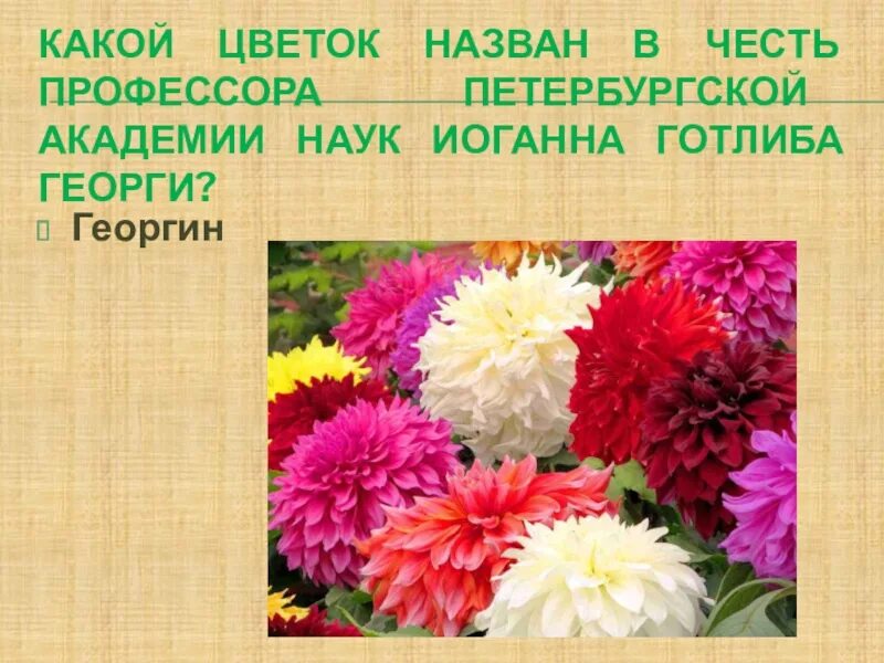 Как зовут цветок