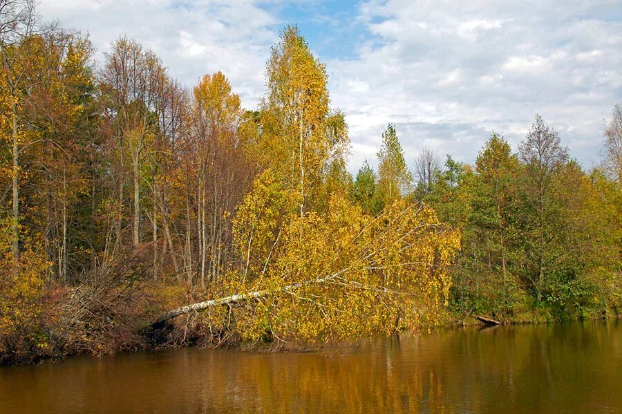 Река большой Кундыш Марий Эл. Река малый Кундыш Марий Эл. Река Кундыш. Река Ронга Марий Эл.