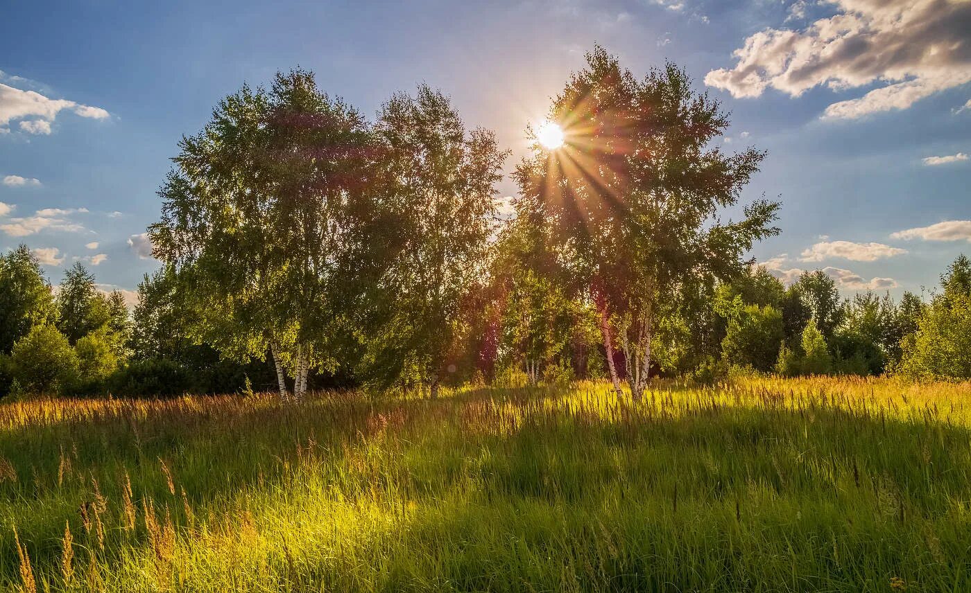 Июль вечер поле. Июльский вечер фото. Красивое утро. Вечернее солнце. Лето вечер.