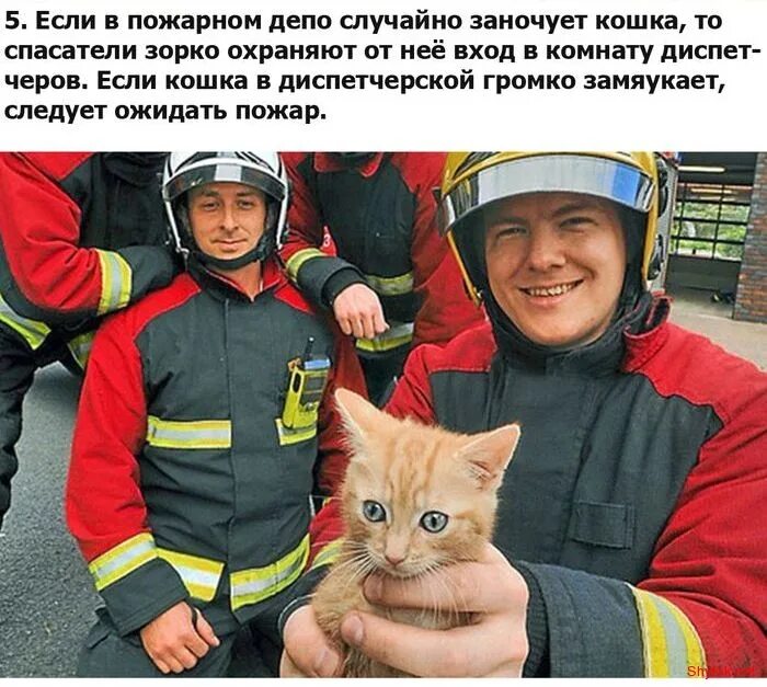 Герои которые спасли жизнь