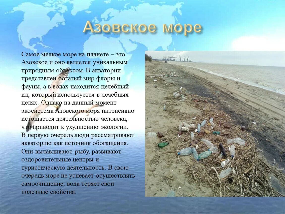 Экологические проблемы морей России