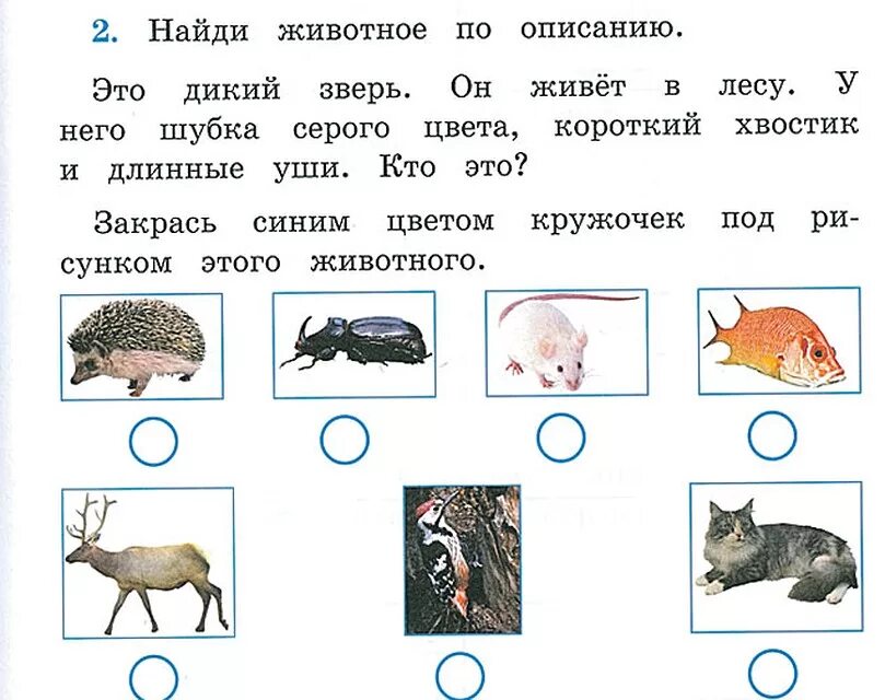Карточка по окружающему миру 2 класс. Задания по окружающему миру 1 класс. задания для первого класса по окружающему миру. окружающий мир 1 классьзадания. окружающий мир 1 класс задания.