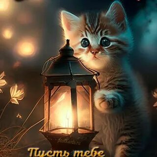 Доброе ночи г