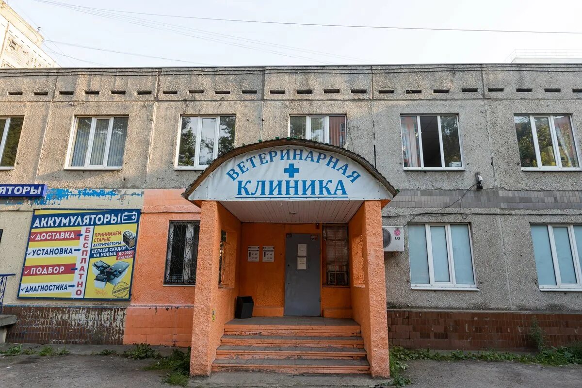 Альвис плюс москва. Эскулап ветклиника уфа. Альвис ветеринарная. Альвис уфа ветеринарная. Альвис ветеринарная.