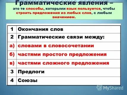 Грамматические отношения между словами