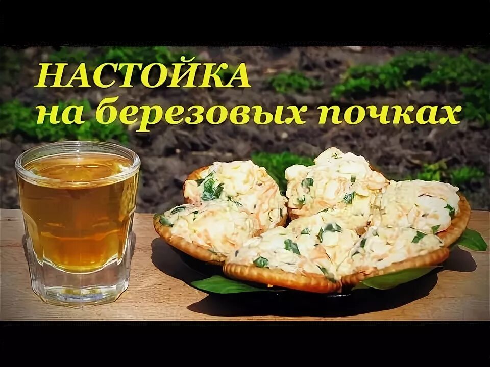 Настойка березовых почек. Отвар хвои. Березовая чага отвар. Настойки на самогоне. Настой почек березы.