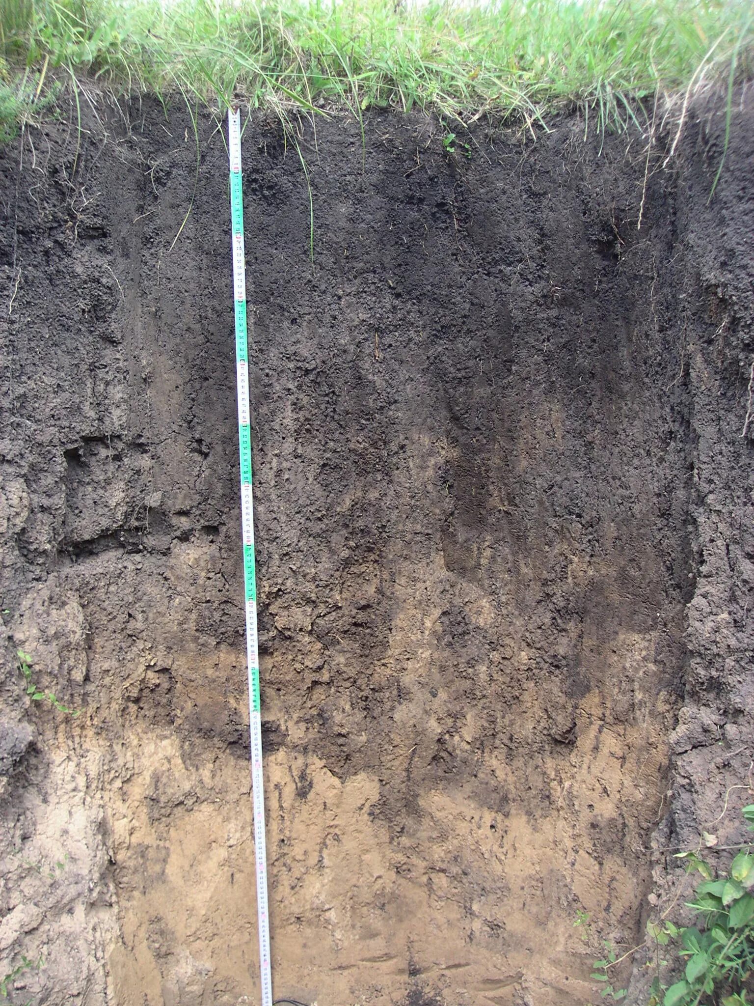 Южные черноземы почвы. Почвенный разрез чернозема. Почвенный профиль чернозема обыкновенного. Почвенный профиль чернозема типичного. Выщелоченные черноземы почвы.