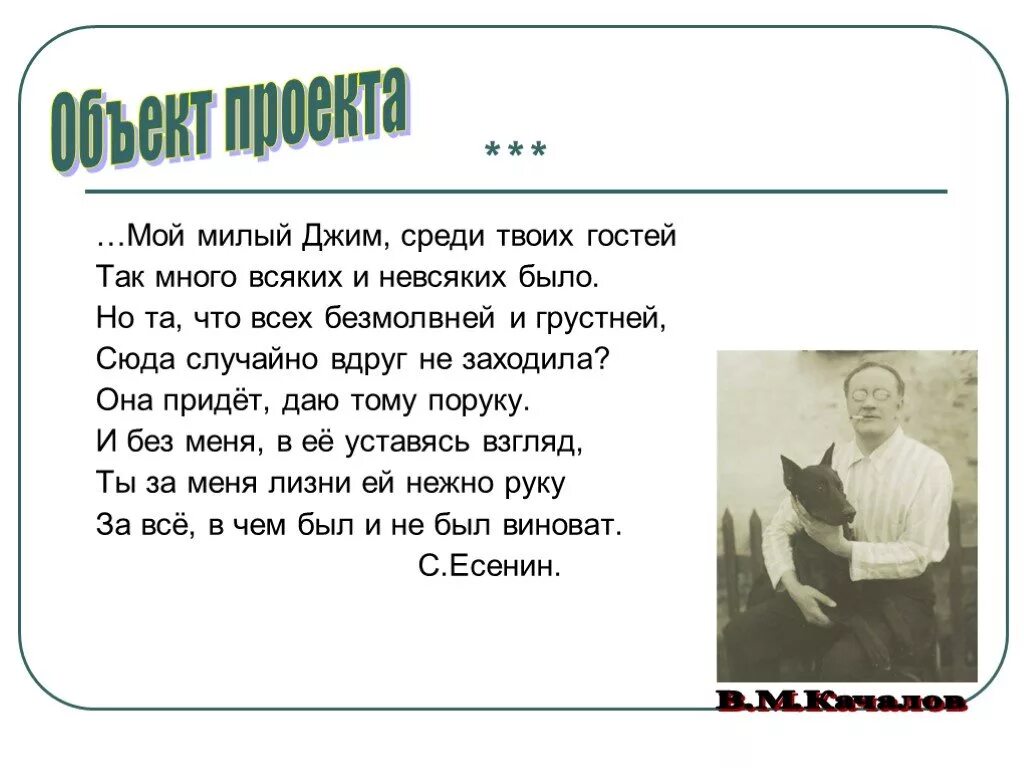 Анализ стихотворения есенина собака. Мой милый Джим среди твоих гостей. Мой милый Джим. Мой милый Джим Есенин. Мой милый Джим стих Есенин.