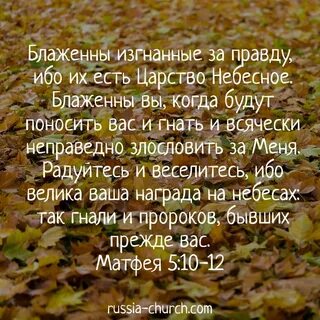 Когда будут поносить вас