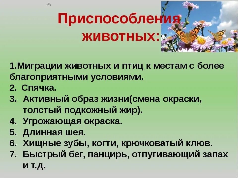 Изменения в природе летом 5 класс биология