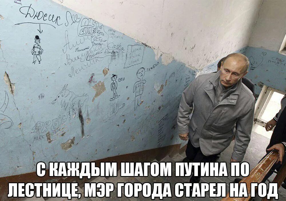 Выйду из парадной