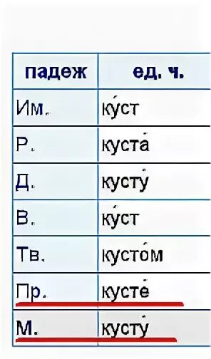 Падеж слова кустики