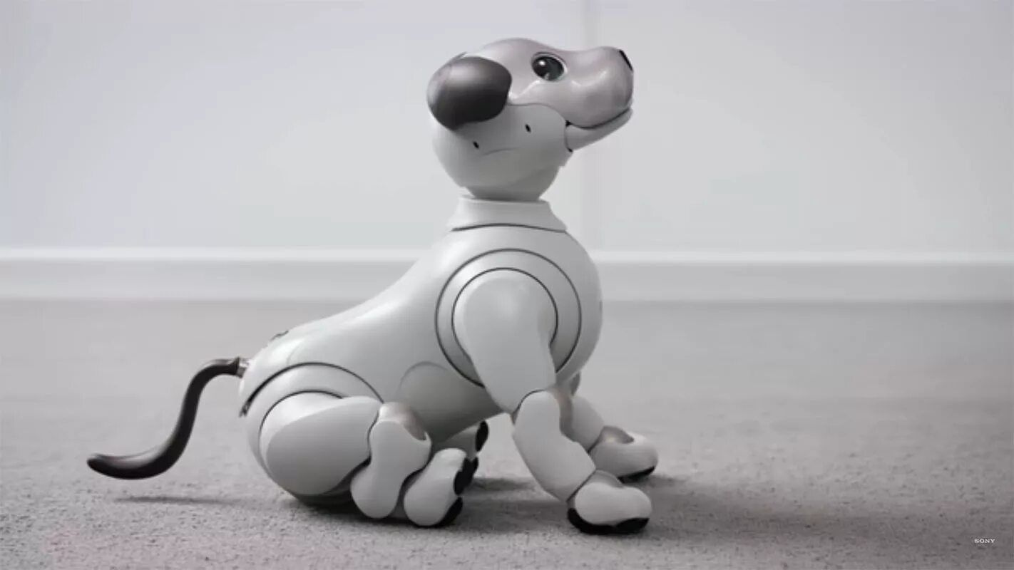 Aibo_sony ers-1000. Робот-собака чип 805 wowwee. Собака робот айбо. Робот собака на ардуино. Робототехника собак.