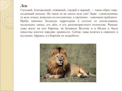 Сочинение лев