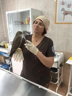 Ветеринарная станция подольска