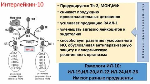 Иммунный гормон