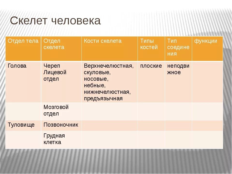 Отдел кости функции. Таблица отделы тела отделы скелета кости скелета. Отделы скелета туловища человека. Отдел скелета кости Тип костей. Тип костей туловища.