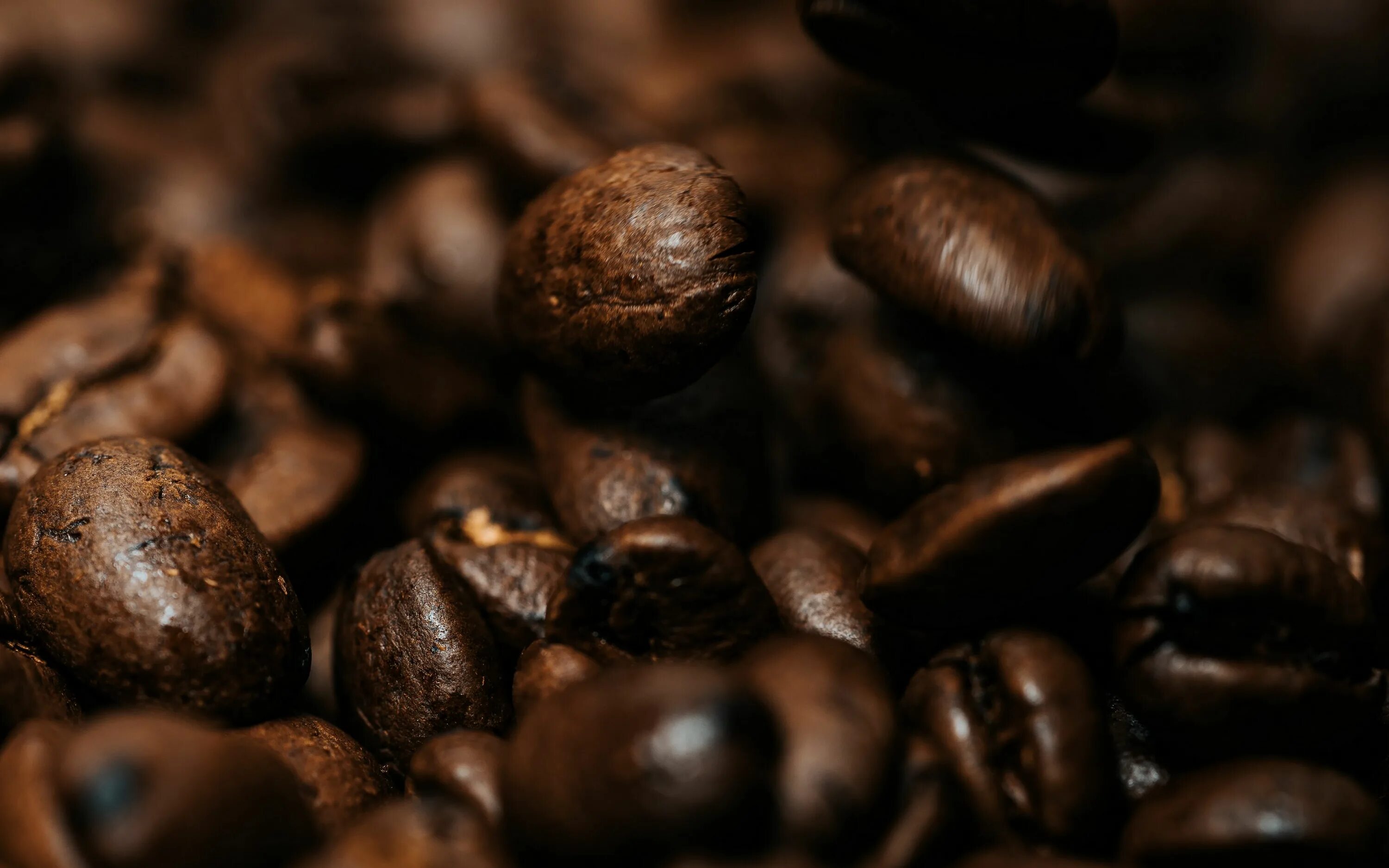 coffee beans - Free Stock Photo by 2happy on Stockvault.net