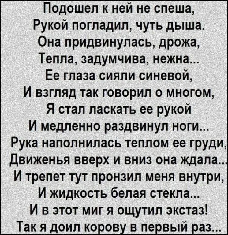 Она дыши текст. Подошел к ней не спеша рукой погладил чуть дыша. Стих как я доил корову в первый.