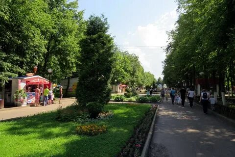 Даманский ярославль