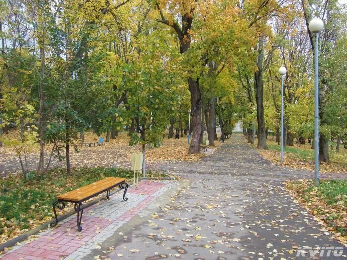 Файл:959 Орловский парк культуры и отдыха.jpg - Википедия