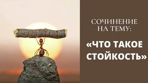 Стойкость