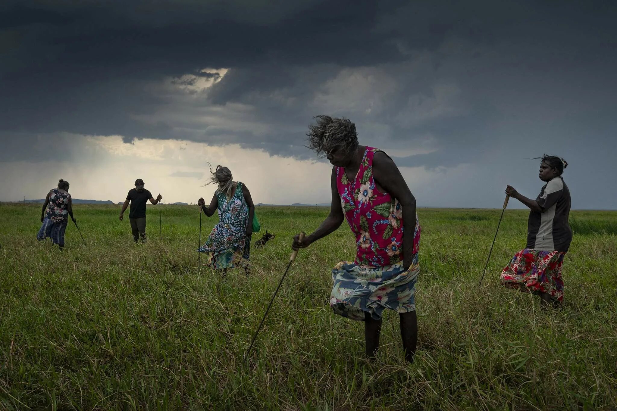 World press. Лучшие фотографии 2025. фото года national geographic. лучшие фотографии года по версии world press foto. national geographic фото года 2025.