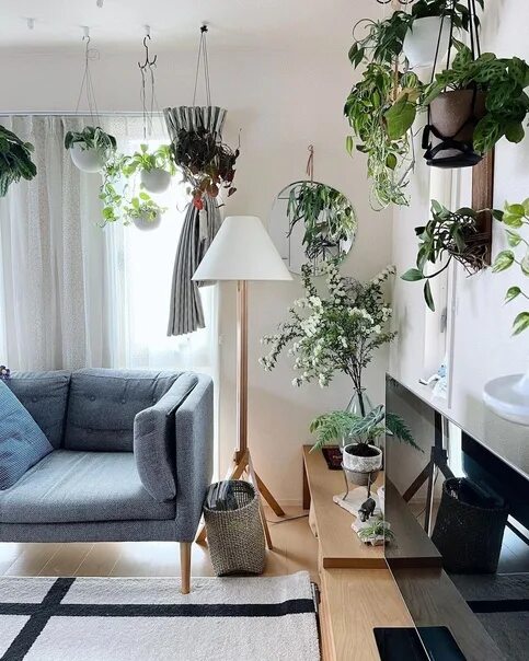 Cinq idées pour mettre en scène vos plantes d'intérieur Beaux salons, Décoration