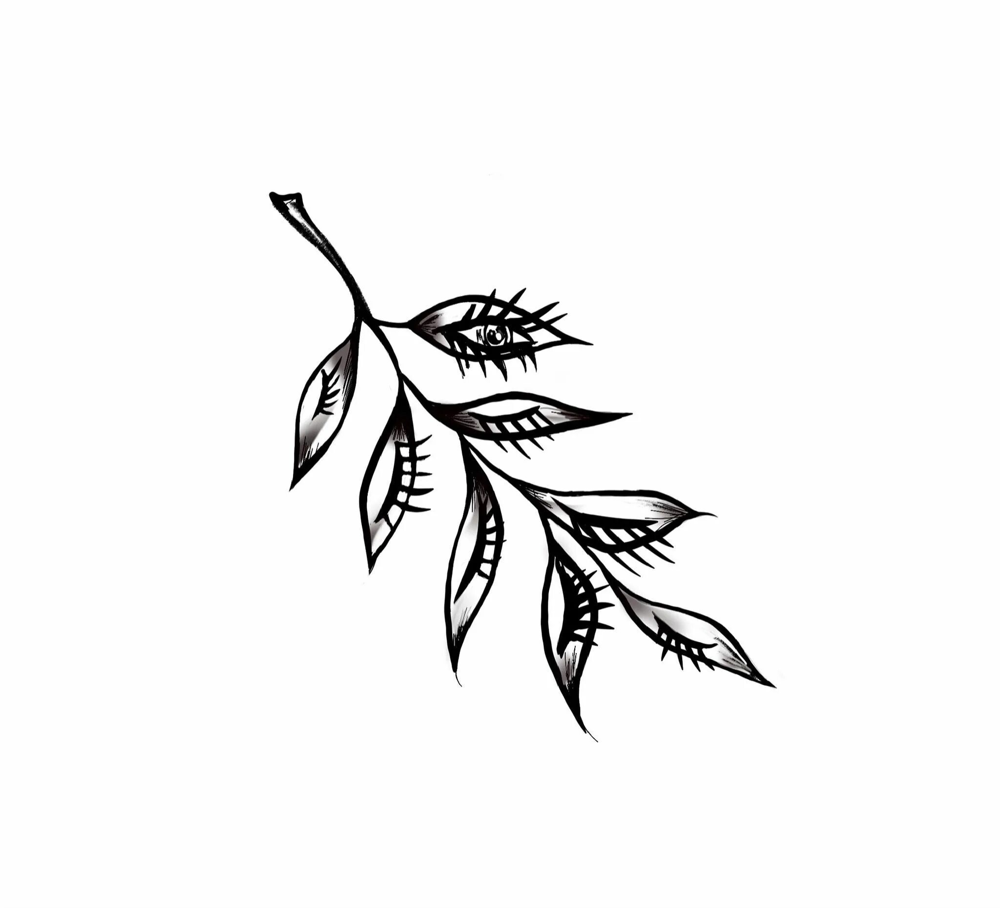 Ветка тату эскиз. Ветка оливы тату эскиз. Тату листья эскизы. Эскиз веточки на ключице. Веточка эскиз.