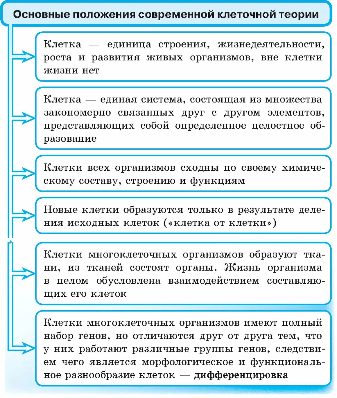 Какая формулировка соответствует клеточной теории. Основные положения современной клеточной теории таблица. основные положения клеточной теории таблица. современные положения клеточной теории кратко. основные положения клеточной теории таблица с примерами.