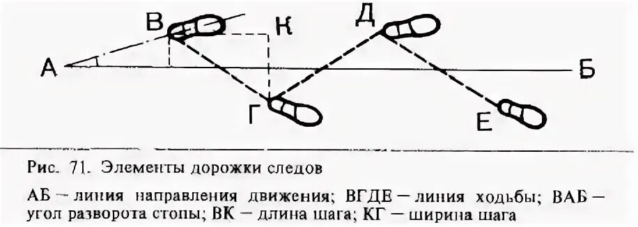 Криминалистическое значение следов обуви. Измерение дорожки следов. элементы дорожки следов. обозначьте элементы дорожки следов. дорожка следов обуви и ее элементы.