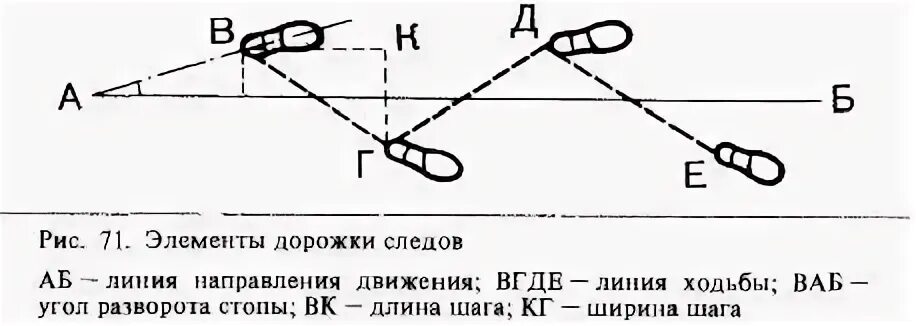 Элементы дорожки следов обуви