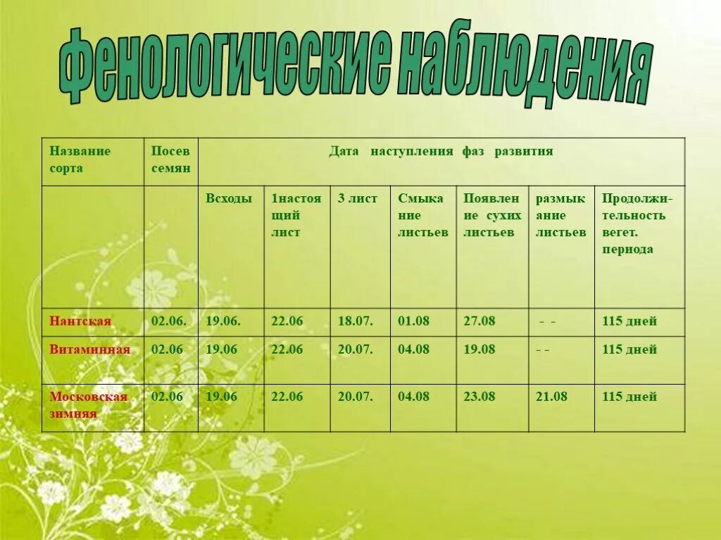 Наблюдение за растением 6 класс биология. Фенологические наблюдения. Фенологические наблюдения таблица. Фенологический дневник. Календарь фенологических наблюдений.