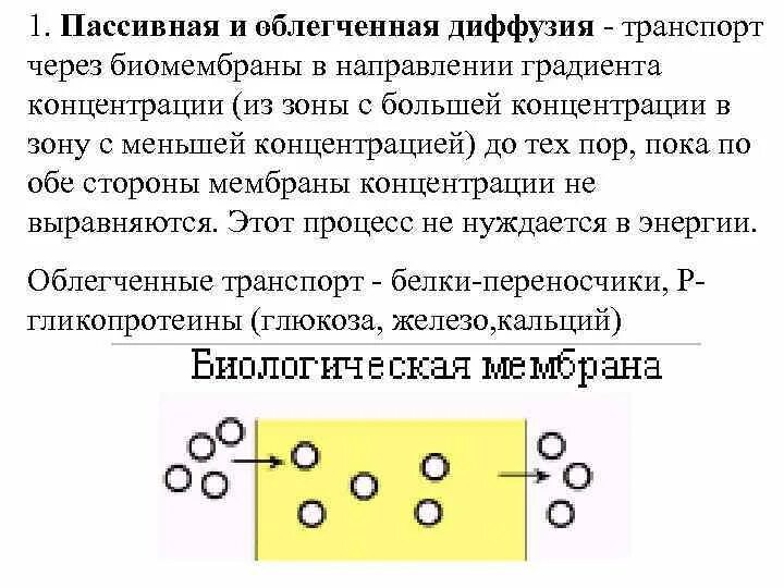 Пассивная диффузия это. Пассивный транспорт облегченная диффузия. облегченная диффузия по градиенту концентрации. диффузия градиент концентрации. перемещение по градиенту концентрации.