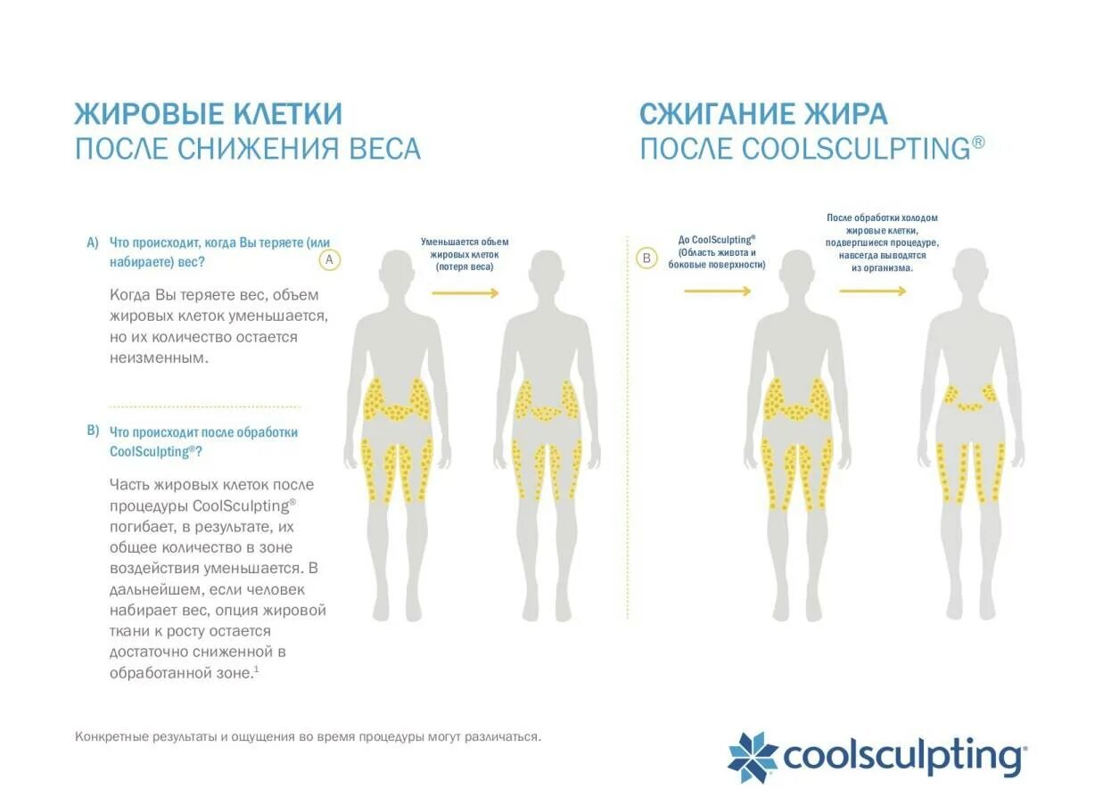 На какой день уходит жир. Процесс сжигания жира в организме. Как происходит сжигание жира в организме. % Жира в организме. Как сжигается жир в организме.