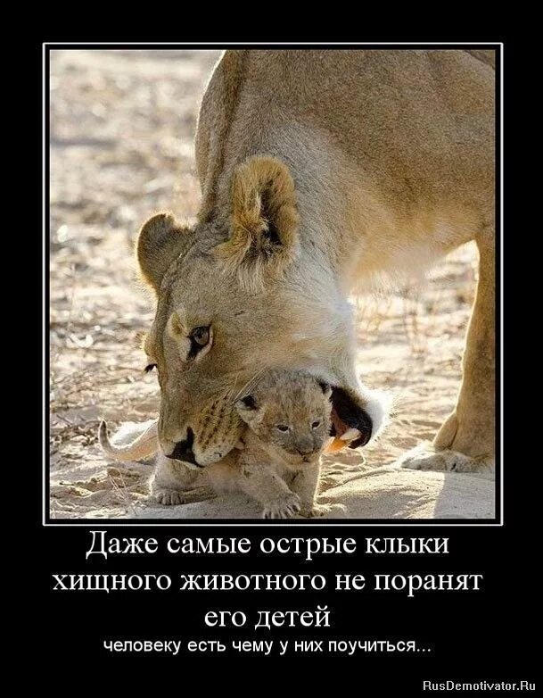 демотиваторы со смыслом. ссора высказывания. пусть всё будет хорошо цитаты. со временем даже долгожданный звонок становится ненужным. даже сильному человеку нужен тот кто обнимет и скажет.