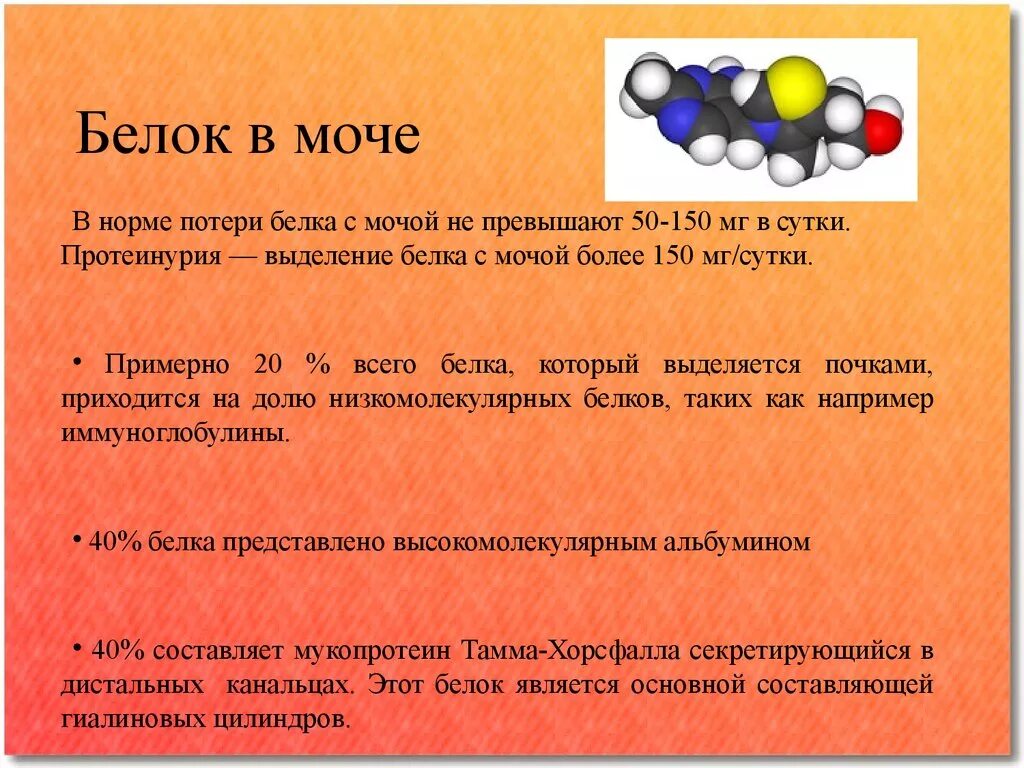 Анализ мочи что означает белок. Белок в моче. Наличие белка в моче. Белок в моче повышен. Причины белка в моче.