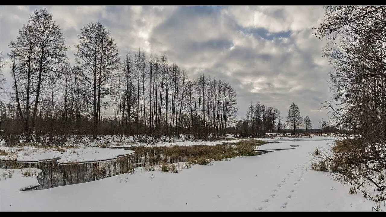 Пасмурный зимний день. Пасмурный день весной. Пасмурный весенний день