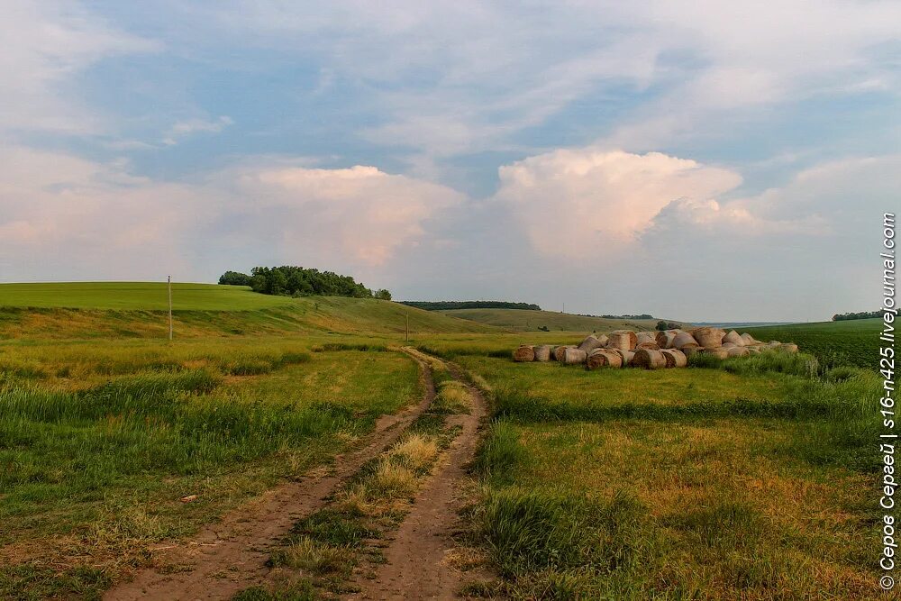 Село Березовка Воронежская область Семилукский район. Деревня Никитская Терновский район Воронежская область. Хохольский район Воронежской области. Природа Хохольского района Воронежской области. Погода в хохле воронежской области