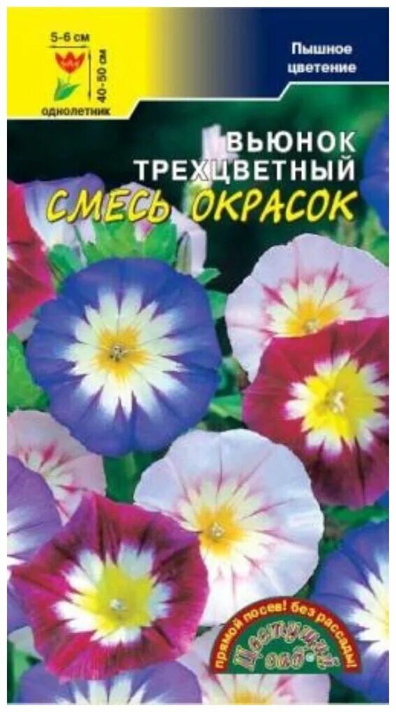 вьюнок трехцветный семена алтая. семена вьюнка трехцветного профессиональные. цветок конвольвулюс калипсо. семена вьюнка трехцветного. вьюнок конвольвулюс.