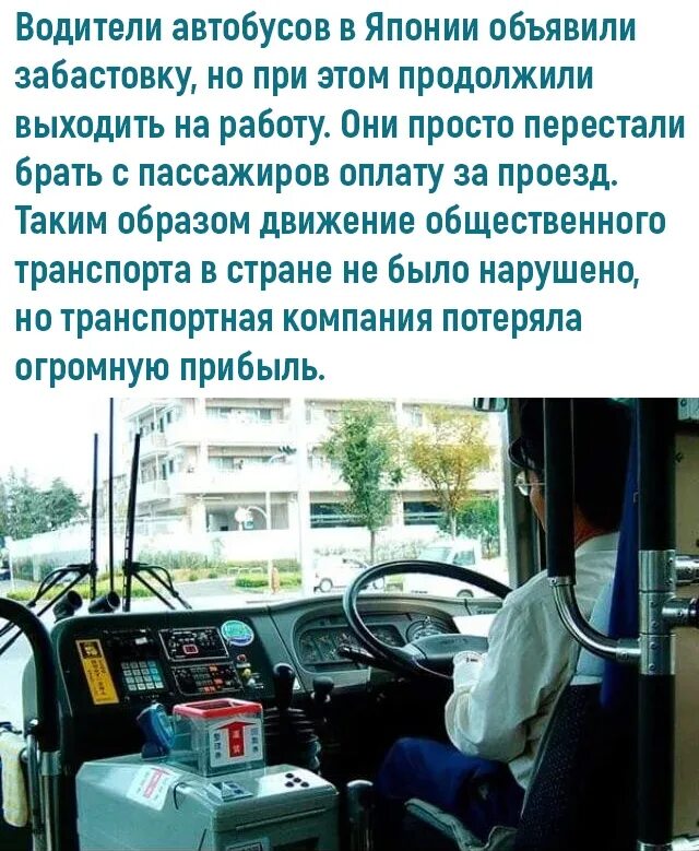Нужно ли платить в автобусе за велосипед
