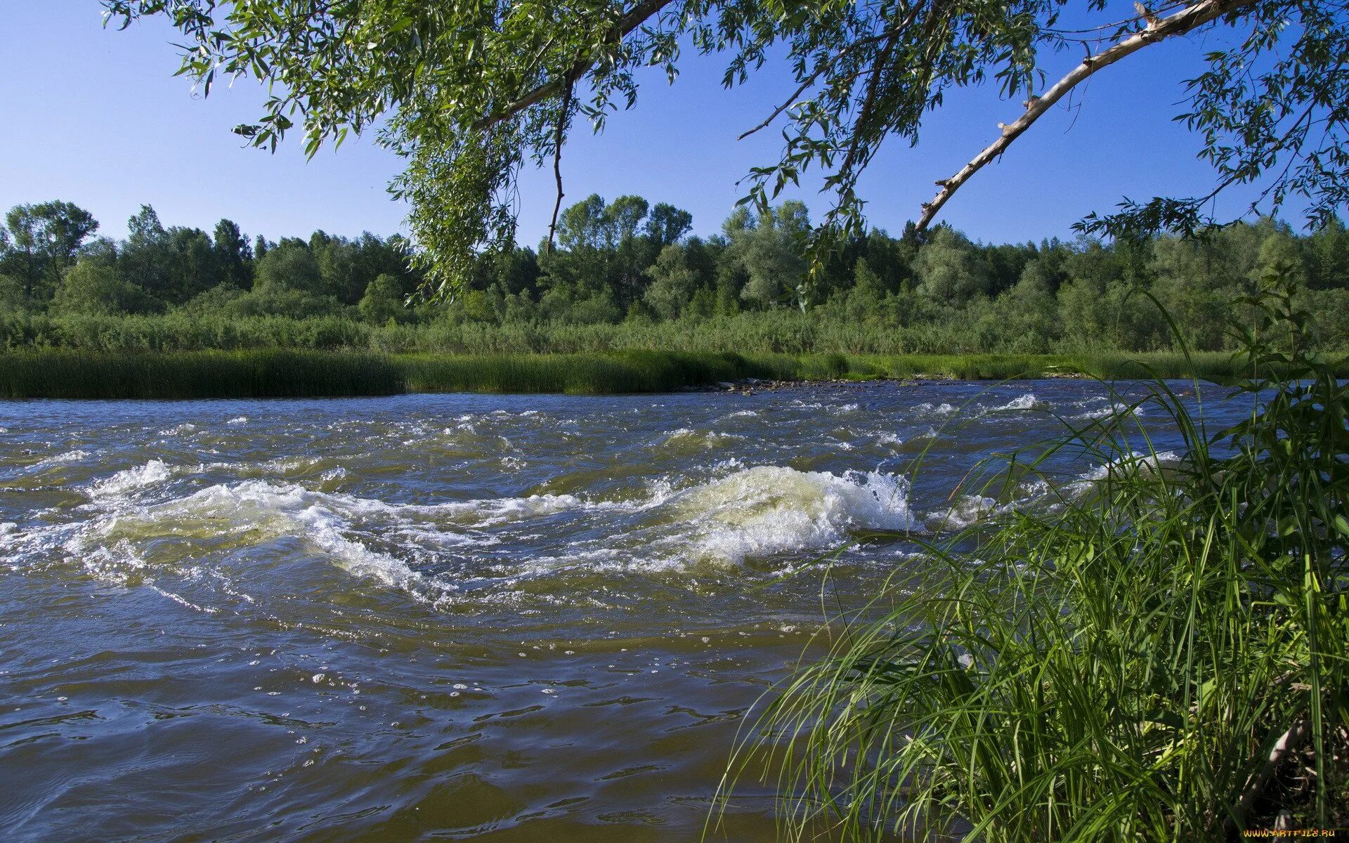 Река казкаш. Река Иргиз. Река большой Иргиз. Речка с волнами. Река обмана
