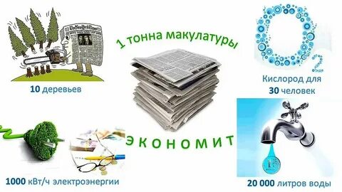 Сколько деревьев спасает 1 тонна