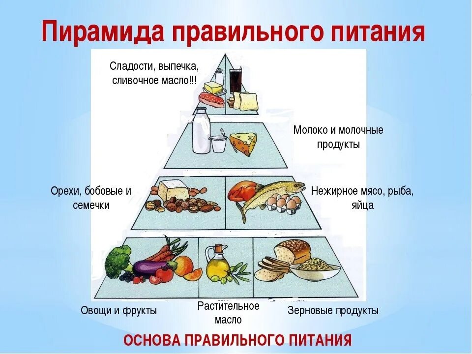 Составляющие части пищи. Рацион питания основные принципы. Основы правильного питания. Принципы здорового питания. Правильное рациональное питание.