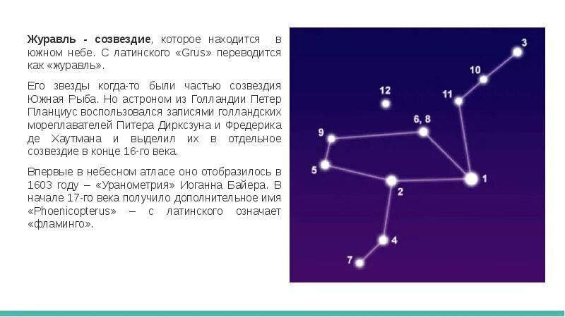 Песня созвездие отрезок текст. Созвездие журавль звезды. Созвездие Журавель. Созвездие журавль на небе. Созвездие аиста.